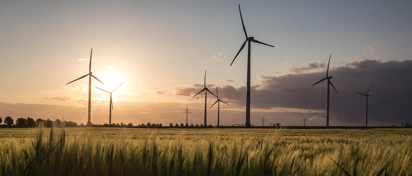 Panoramic view of a field covered with wind-power turbines during sunset